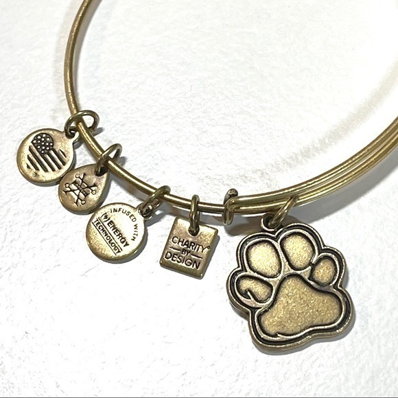 ALEX and ANI Paw Print Bracelet 🐾 - Picture 1 of 5